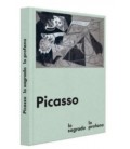 PICASSO