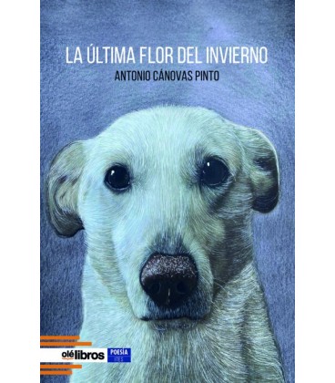 ULTIMA FLOR DEL INVIERNO