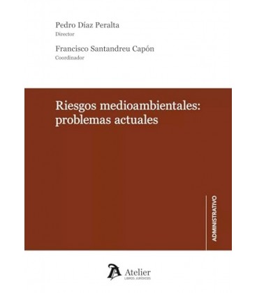 RIESGOS AMBIENTALES PROBLEMAS ACTUALES