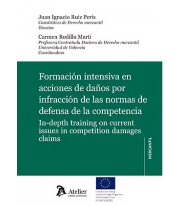 FORMACION INTENSIVA EN ACCIONES DE DAÑOS POR INFRACCION DE LAS NORMAS