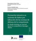 FORMACION INTENSIVA EN ACCIONES DE DAÑOS POR INFRACCION DE LAS NORMAS