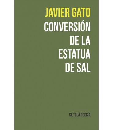 CONVERSION DE LA ESTATUA DE SAL