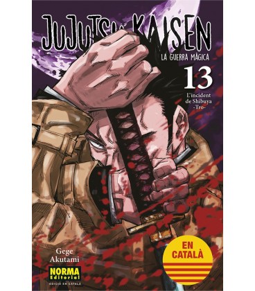 JUJUTSU KAISEN 13 (CAT)