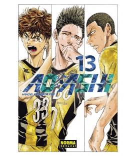 AO ASHI 13