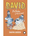 DAVID PICHON REBOZADO 2