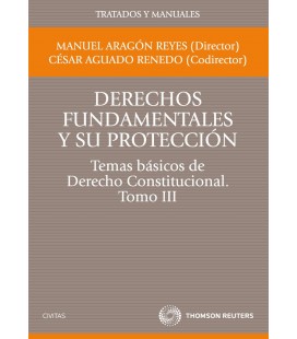 DERECHOS FUNDAMENTALES Y PROTECCION TEMAS BASICOS CONSTITUCIONAL TIII