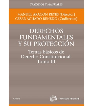 DERECHOS FUNDAMENTALES Y PROTECCION TEMAS BASICOS CONSTITUCIONAL TIII