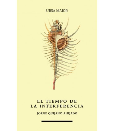 EL TIEMPO DE LA INTERFERENCIA