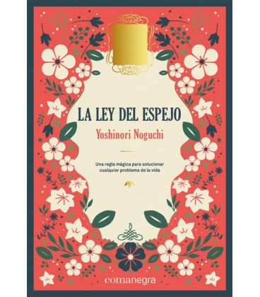 LEY DEL ESPEJO LA DELUXE