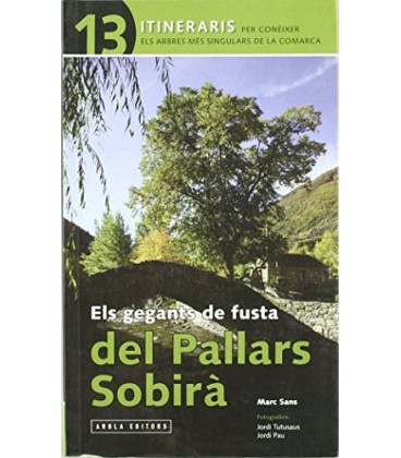ELS GEGANTS DE FUSTA PALLARS SOBIRA