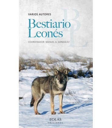BESTIARIO LEONES