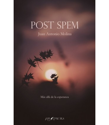POST SPEM
