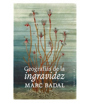 GEOGRAFIAS DE LA INGRAVIDEZ