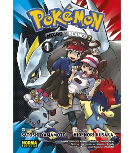 POKEMON 31 NEGRO Y BLANCO II 1