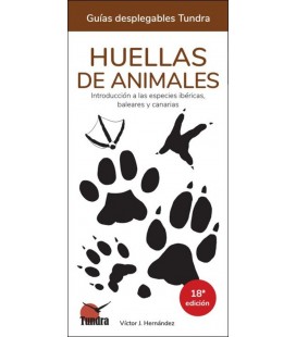 HUELLAS DE ANIMALES 18 EDICION
