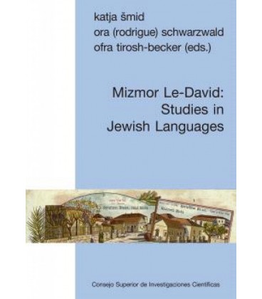 MIZMOR LE DAVID STUDIES IN JEWISH LANGUAGES (ENG)