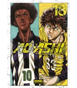 AO ASHI 18