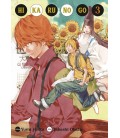 HIKARU NO GO 3