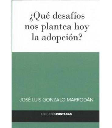 QUE DESAFIOS NOS PLANTEA HOY LA ADOPCION