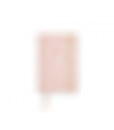 AGENDA CHARUCA SEMANAL 24 25 PINK MINI 155X110