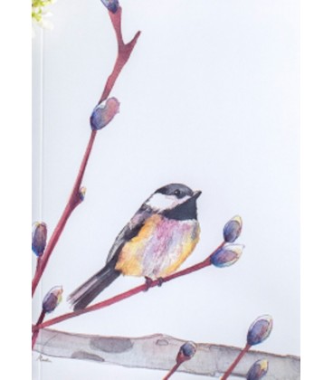CUADERNO BOSQUE MARIALU