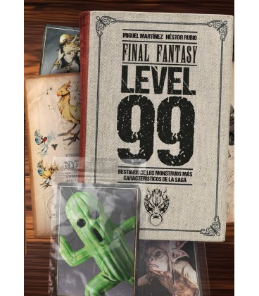 FINAL FANTASY LEVEL 99