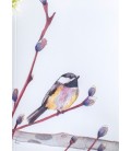 CUADERNO BOSQUE MARIALU
