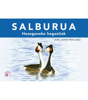 SALBURUA