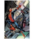 ESPECTACULARES SPIDERMEN 01