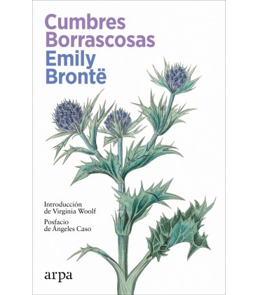 CUMBRES BORRASCOSAS