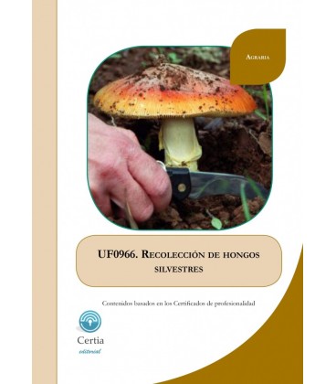RECOLECCION DE HONGOS SILVESTRES