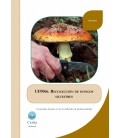 RECOLECCION DE HONGOS SILVESTRES