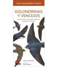 GOLONDRINAS Y VENCEJOS