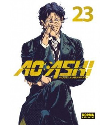AO ASHI 23