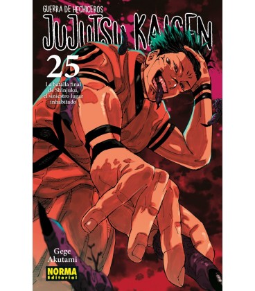 JUJUTSU KAISEN 25