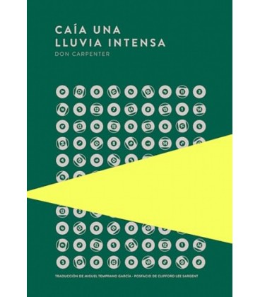 CAIA UNA LLUVIA INTENSA