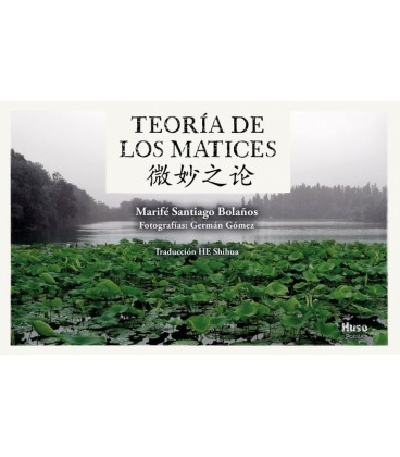 TEORIA DE LOS MATICES