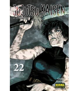 JUJUTSU KAISEN 22 (CAT)