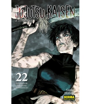 JUJUTSU KAISEN 22 (CAT)