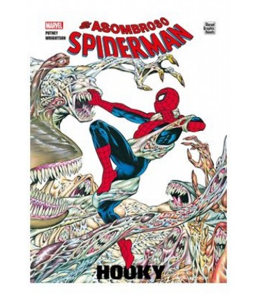 ASOMBROSO SPIDERMAN HOOKY