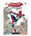 ASOMBROSO SPIDERMAN HOOKY