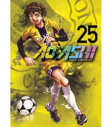 AO ASHI 25