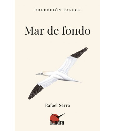 MAR DE FONDO