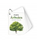 FIJATE: ARBOLES