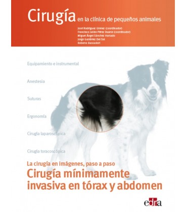 CIRUGIA EN LA CLINICA DE PEQUEÑOS ANIMALES CIR. MINIMAMENTE INVASIVA