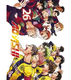AO ASHI 26