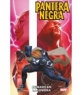 PANTERA NEGRA DE EVE EWING 02