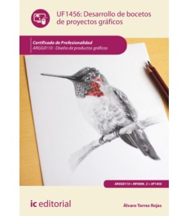DESARROLLO DE BOCETOS DE PROYECTOS GRAFICOS