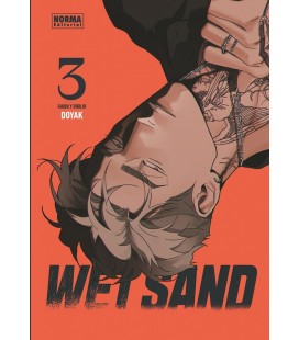 WET SAND 3