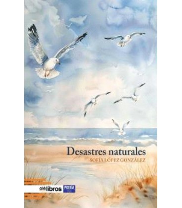 DESASTRES NATURALES
